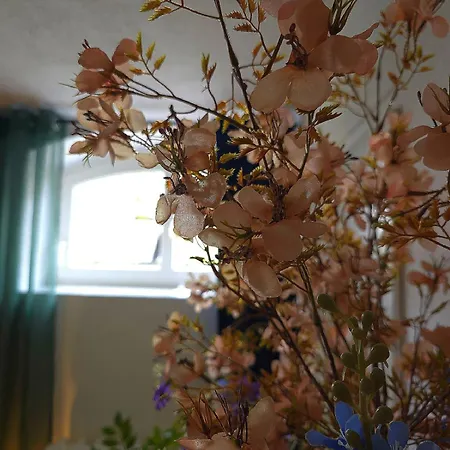 Bertha-marie Atlantis Apartment Greifswald